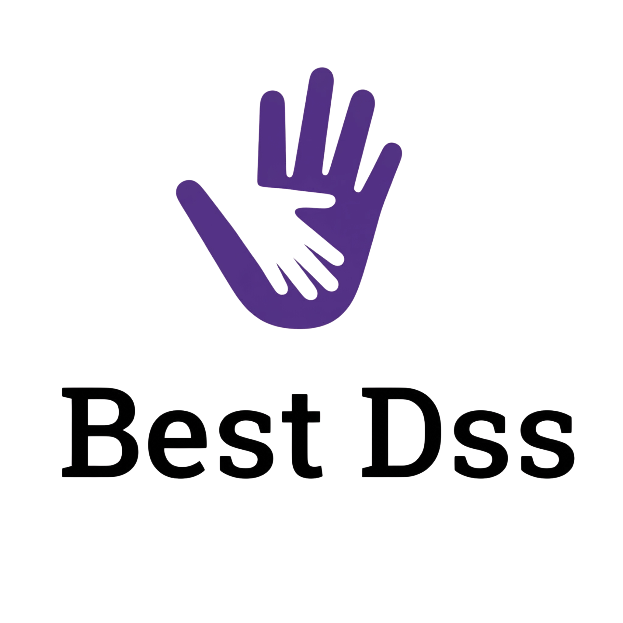 Best Dss Logo